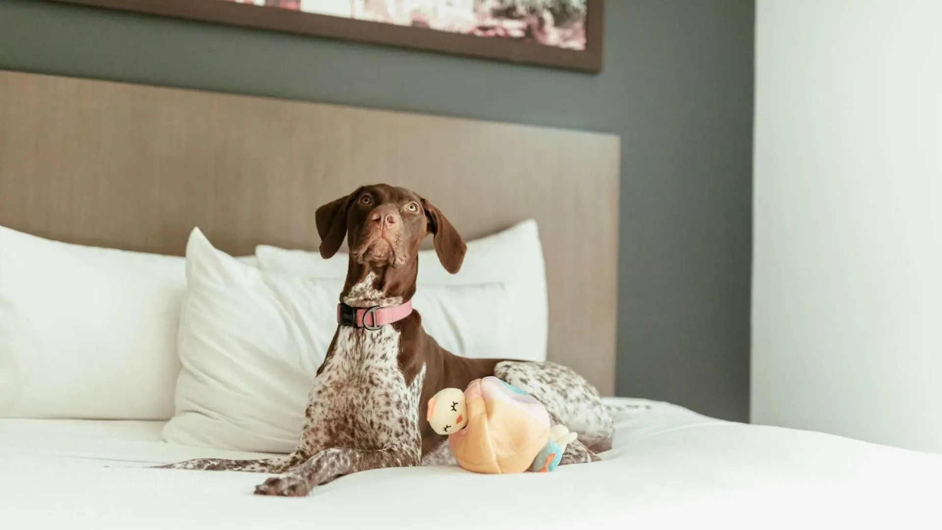 Hyatt House San Juan Ξενοδοχείο